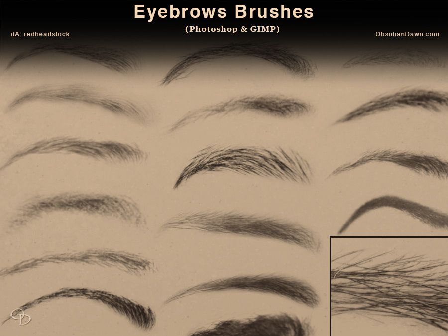 free photoshop eyelash brushes downloads